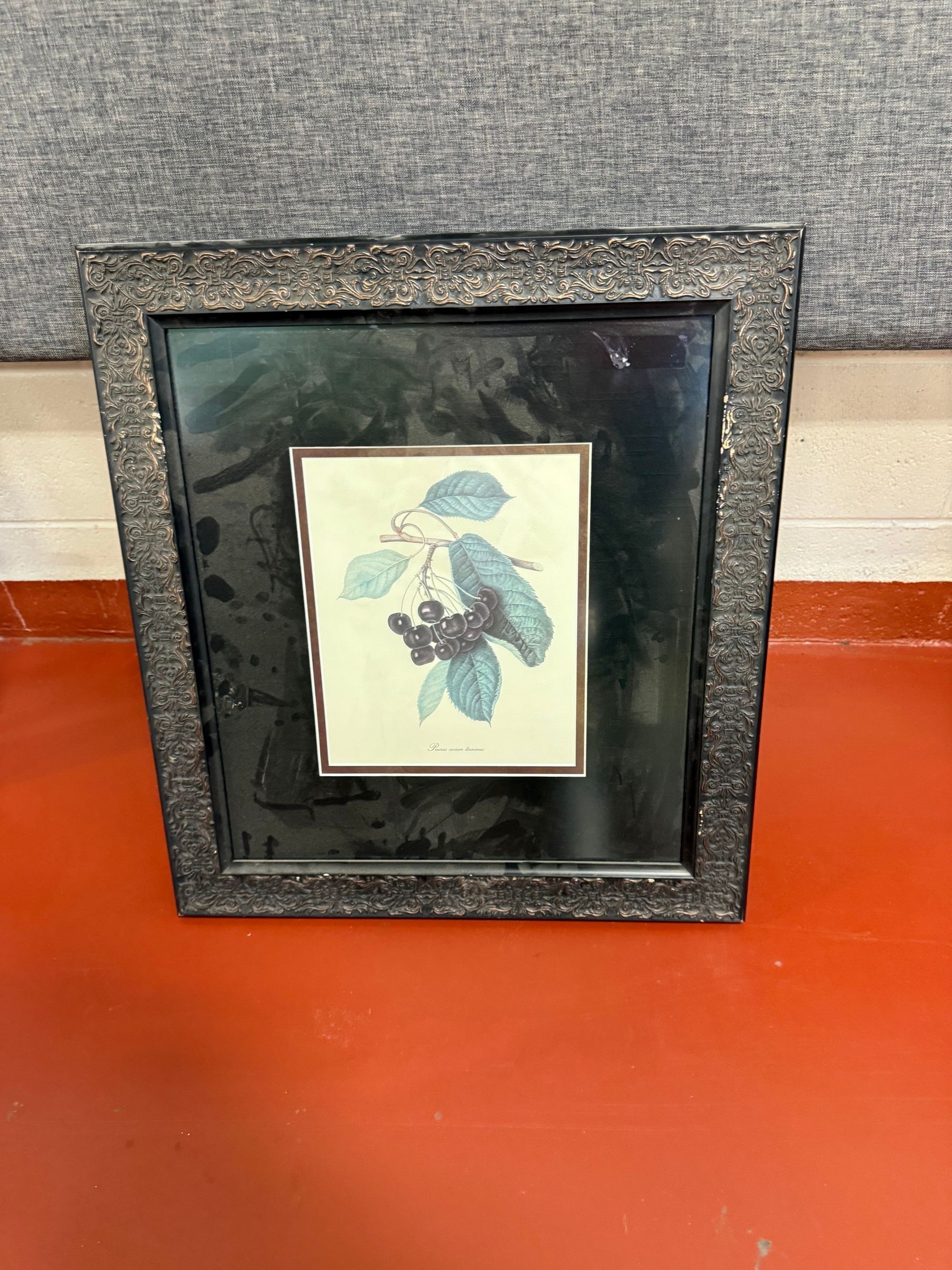 Botanical Print of Aronia Berries (Black Chokeberry) in Ornate Frame