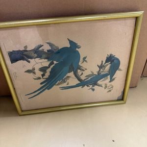 Columbia Jay Print by John James Audubon (Plate 96)