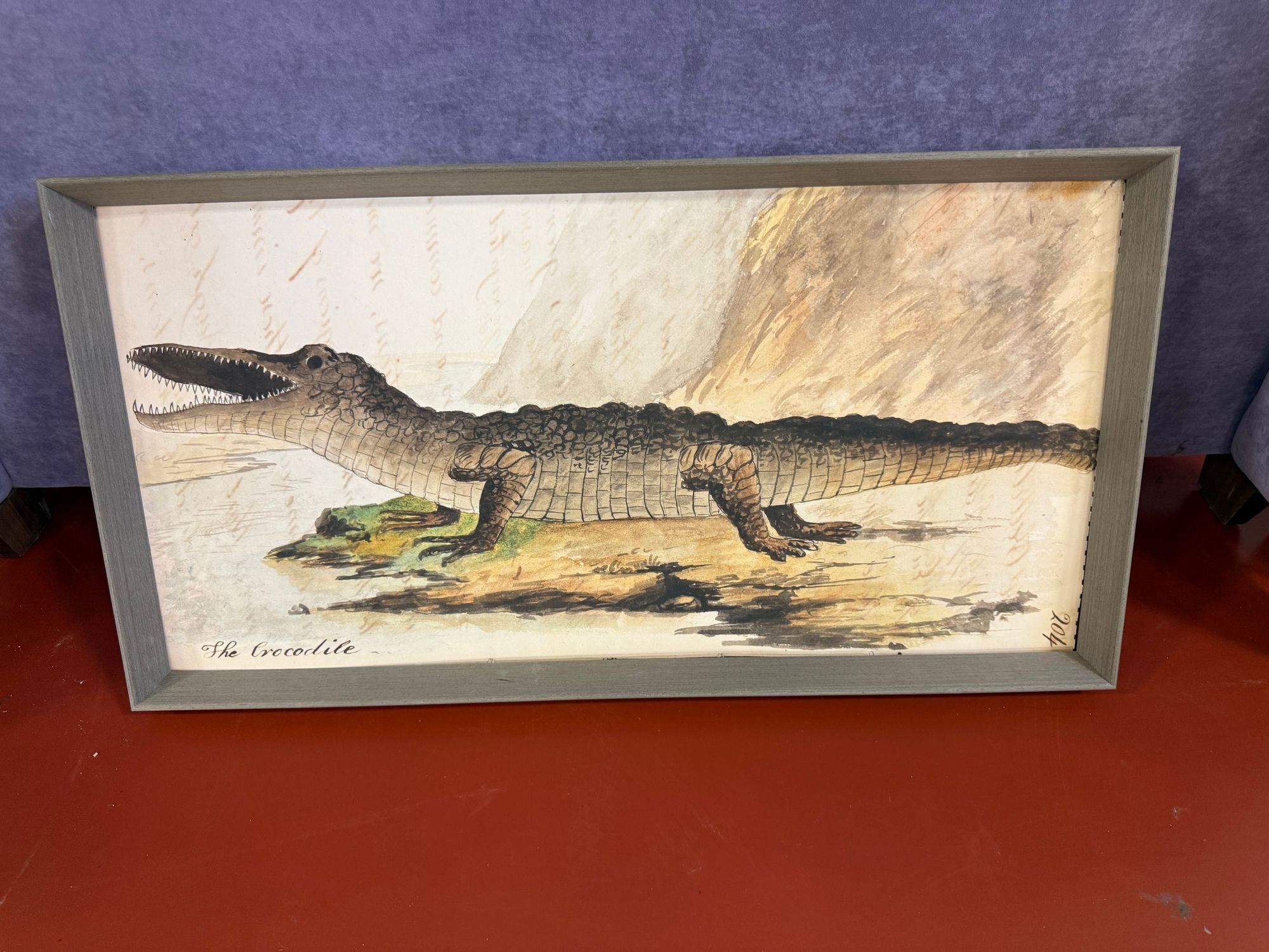 Antique "The Crocodile" Print by John Gabriel Stedman